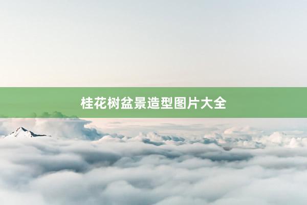 桂花树盆景造型图片大全