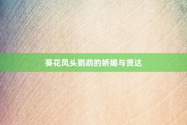 葵花凤头鹦鹉的娇媚与贤达