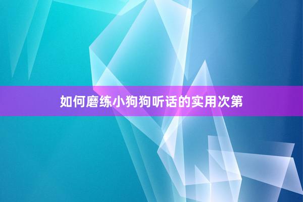 如何磨练小狗狗听话的实用次第